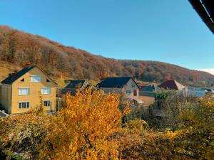 a view of a village in the autumn at Вілла де Кампо in Chynadiyovo