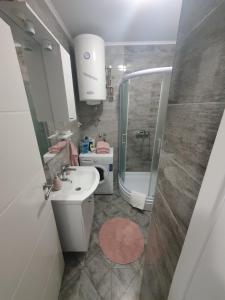 Et badeværelse på Apartman Basic 2