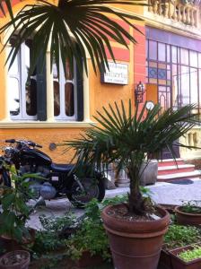 uma moto estacionada em frente a um edifício com plantas em Liberty Bed & Breakfast em Verona