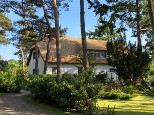a white house surrounded by trees at Strandhaus Düne 19 - Gelassenheit in Neuhaus