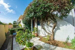 Zahrada ubytování Barbati Boutique Studio