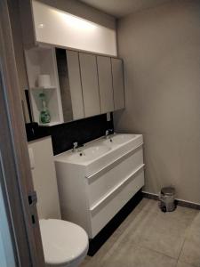 a bathroom with a white sink and a toilet at Ter Ename n°1 in Ename +34 photos