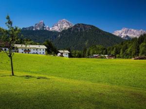 Ein Baum auf einem Feld mit Bergen im Hintergrund in der Unterkunft Haus Heimattreu in Schönau am Königssee