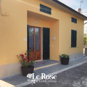 皮斯托亞的住宿－B&B Le Rose di Gori Cristina，一座有门和两株盆栽植物的房子