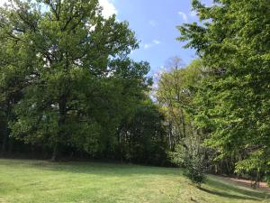 a field with trees and green grass in a park at Les gites de Pétrocoriis - Boulazac Périgueux in Boulazac