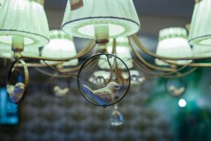 斯摩棱斯克的住宿－Hotel ArtBarin，挂在灯具上的鸟