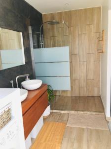 La salle de bains est pourvue d'un lavabo et d'une douche. dans l'établissement Cocon De L'Est I, à Saint-Benoît