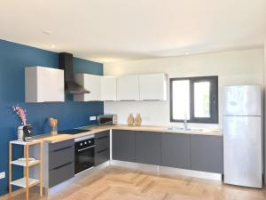 a kitchen with white appliances and blue walls at Cocon De L'Est I in Saint-Benoît