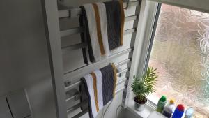 Convenient 1 Bedroom Apartment