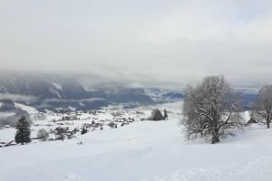 WHITE HOME IN AESCHI BEI SPIEZ v zimě