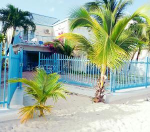 uma palmeira na praia ao lado de uma cerca azul em Villas on Great Bay VILLA FOXIE em Philipsburg