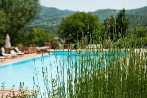 Fotografie z fotogalerie ubytování Agriturismo Azienda Agricola Il Pozzo v destinaci Capolona