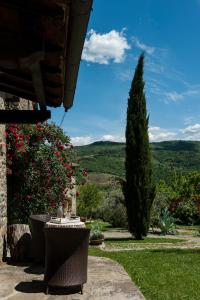 a garden with a tree and a table with a view at Agriturismo Azienda Agricola Il Pozzo in Capolona