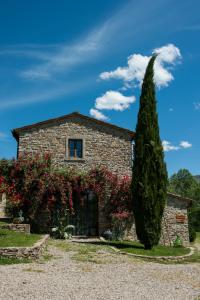 een stenen huis met een boom ervoor bij Agriturismo Azienda Agricola Il Pozzo in Capolona