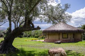 una pequeña cabaña con un árbol delante de ella en Cabaña Campestre Sol Muisca RNT85322, en Villa de Leyva