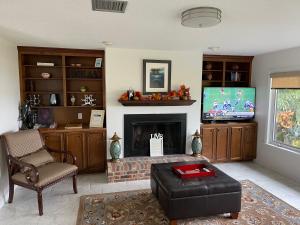 a living room with a fireplace and a television at Perfecto's Retreat- LUXURY Cabin in St Petersburg