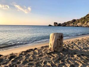 ein Baumstumpf im Sand am Strand in der Unterkunft Livikon Studios & Rooms in Rodakino