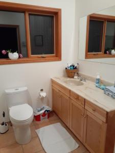 A bathroom at Dream Cabin