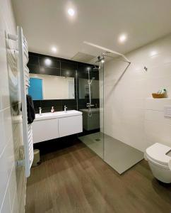 a bathroom with a shower and a sink and a toilet at La Petite Fontaine in Saint-Émilion