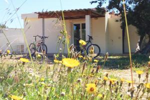 dos bicicletas estacionadas frente a un edificio en La Casita Yolanda, ideal parejas - Formentera Natural, en Sant Ferran de Ses Roques