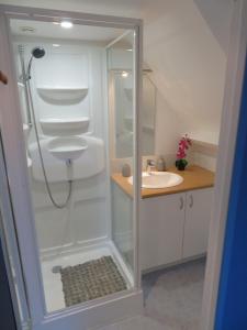 a bathroom with a shower and a sink at Chambres d'Hotes La Maison Neuve in Saint-Loup +51 photos