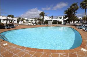 a large blue swimming pool with chairs and palm trees at Playa Park in Puerto del Carmen