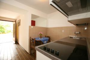 a kitchen with a sink and a counter top at Apartments Neda - Poreč South in Poreč