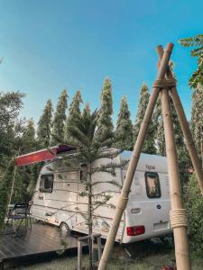 Nice Nite Campervans في فرا ناخون سي أيوتثايا: سيارة أجرة بيضاء متوقفة بجوار شجرة