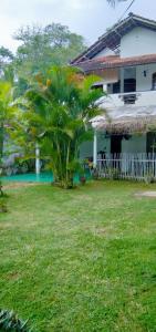 a house with a palm tree in front of a yard at Thalalla BnB in Talalla
