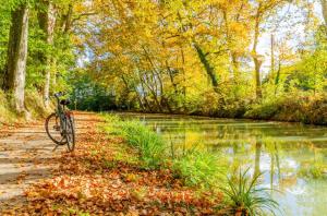 un vélo garé sur un chemin à côté d'une rivière dans l'établissement LE SICRE - T3 confort, centre Castelsarrasin, parking, à Castelsarrasin