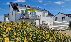 une maison avec un champ de tournesols devant elle dans l'établissement Ferienwohnung Reimann mit kostenloser AlbCard, à Blaubeuren