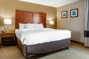 Fotografie z fotogalerie ubytování Comfort Inn Sault Ste Marie MI v destinaci Sault Ste. Marie