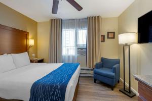Gallery image of Comfort Inn Gaslamp Convention Center in San Diego