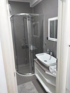 La salle de bains est pourvue d'une douche et d'un lavabo. dans l'établissement Apartmani Dojčinović, à Vranje