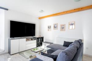 ein Wohnzimmer mit einem Sofa und einem Flachbild-TV in der Unterkunft Gite Le Carpe Diem - Classé 3 étoiles - Centre ville - Wifi - Netflix in Marmoutier