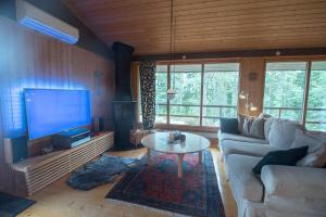EdsbrukにあるHuset Söderskogen - SWEEDS Loftahammarのソファとテレビのあるリビングルーム