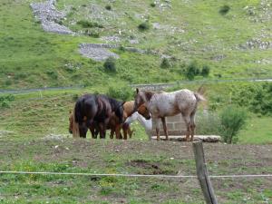 Kép Agriturismo Le Prata szállásáról Scannóban a galériában