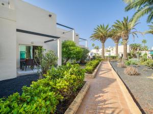 Vonkajšia záhrada v ubytovaní HomeForGuest Moderno Apartamento con piscina en Corralejo