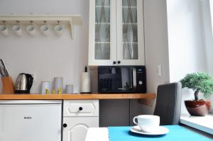 Kuchyňa alebo kuchynka v ubytovaní Piano Apartment w sercu Starego Miasta + 22 fotografií