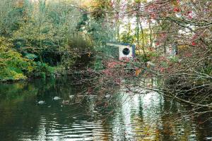 a bird house sitting in the middle of a river at Marlfield House Hotel in Gorey