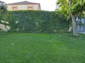 Vonkajšia záhrada v ubytovaní Casa Rural La Cija del Abuelo a 1 hora de Madrid