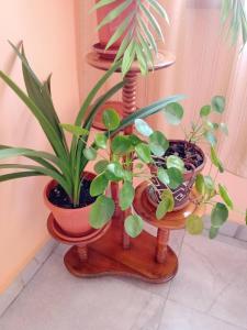 Afbeelding uit fotogalerij van Hotel Lavega in Kyustendil