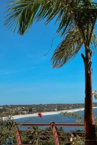 un palmier assis à côté d'un banc à côté d'une plage dans l'établissement Hotel El Mirador, à Puerto Escondido