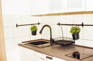 uma cozinha com um lavatório e dois vasos de plantas em Vivo Hospital Maxi em Herne
