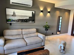 a living room with a couch and a dog in it at Residencial Bali Bahia Apto Alto Padrão BATUR 106 in Praia do Forte