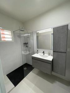uma casa de banho com um lavatório e um chuveiro em Appartement la Perle, T2 les pieds dans l'eau à 50m de la mer em Saint-François