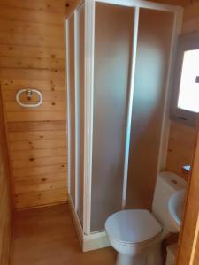 a bathroom with a toilet and a sink at Camping Las Cavenes in El Cabaco