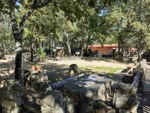 Foto de la galería de Camping Las Cavenes en El Cabaco