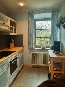 Kjøkken eller kjøkkenkrok på König Ludwig' das märchenhafte Appartement