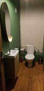 a bathroom with a toilet and a sink and a mirror at Domaine de La Gaudinais in Ploërmel +27 photos